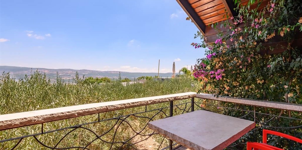 בצל עצי הזית זוהר 2 (11).jpg