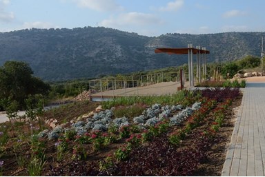וילות וסוויטות קשת אילון - הנוף מהמתחם