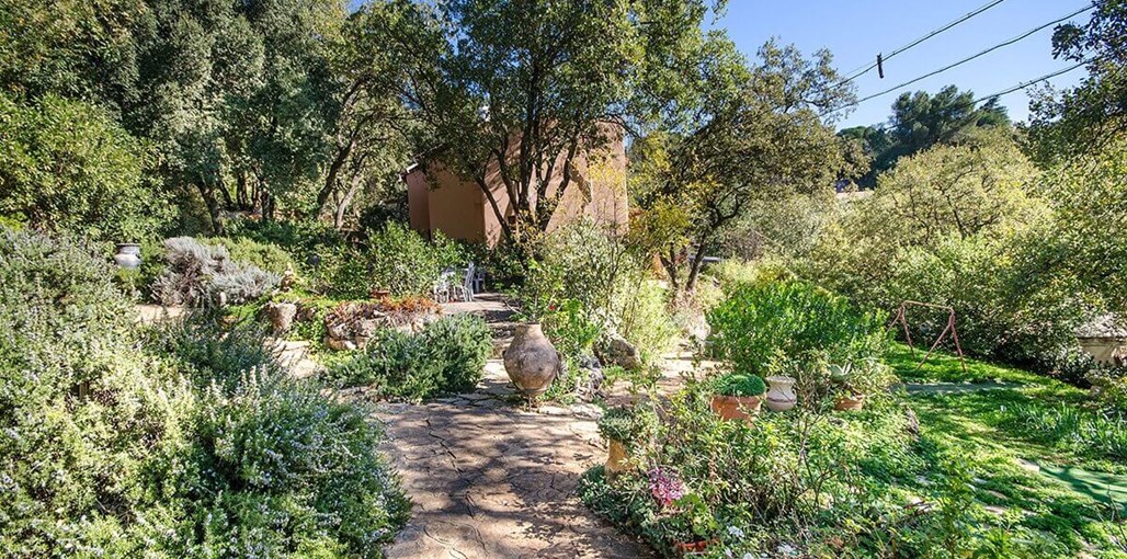 אהבה בירוק אמירים חצר (6).jpg