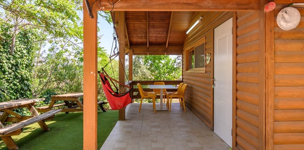 אביב בכרם שרדונה (12).jpg