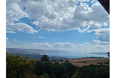 פסגת הכנרת - החצר והסביבה