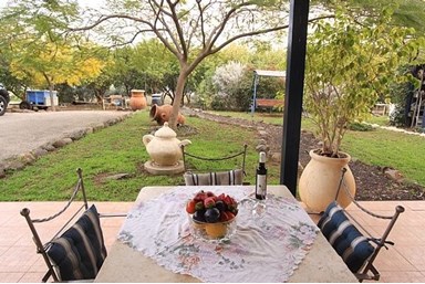 פסגת הכנרת - החצר והסביבה