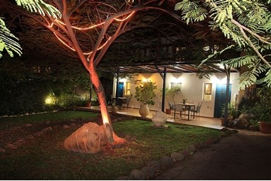 פסגת הכנרת - החצר והסביבה