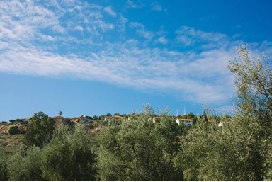 העיגול הפנימי ראש פינה - החצר והבריכה