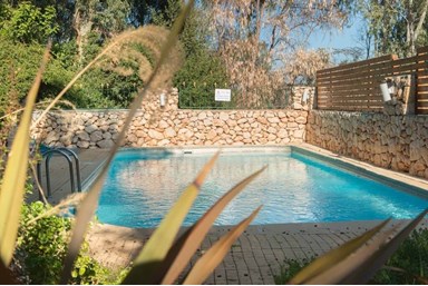 העיגול הפנימי ראש פינה - החצר והבריכה