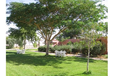 אליפז חופש וחוויה בערבה