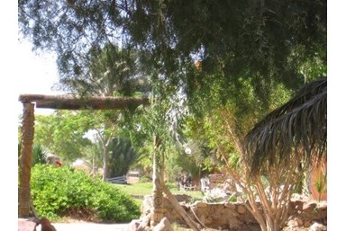 אליפז חופש וחוויה בערבה