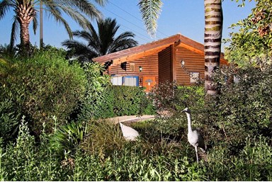 בקתות עץ אורן