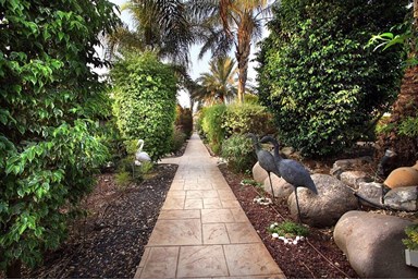 בקתות עץ אורן - החצר והבריכה