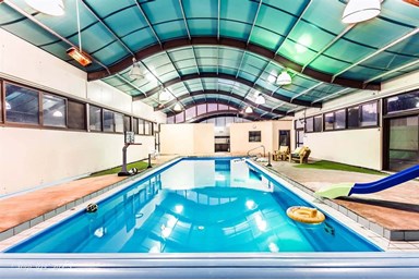 בקתות עץ מול חרמון - הבריכה והחצר