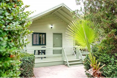 בקתות עץ מול חרמון - הבריכה והחצר