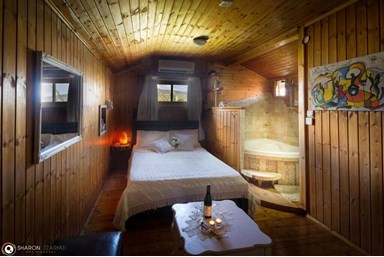 החזון של גץ - צימר 1