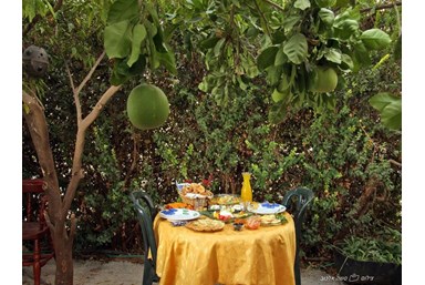 החזון של גץ - ארוחת הבוקר