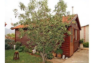 החזון של גץ - צימר 1