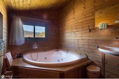 החזון של גץ - צימר 2