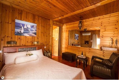 החזון של גץ - צימר 2