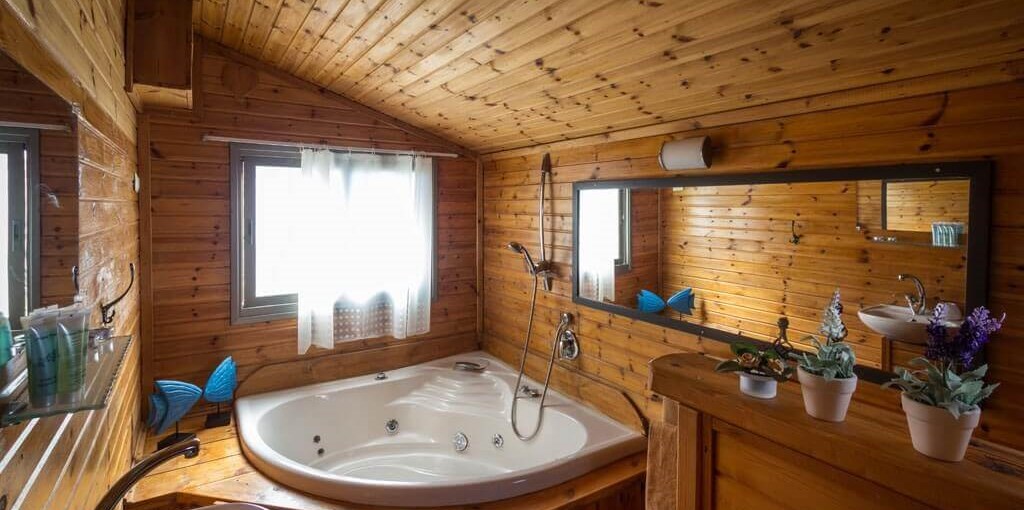 החזון של גץ בקתה 3 (7).jpg