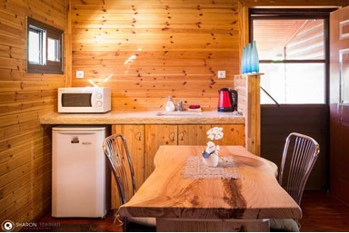 החזון של גץ - צימר 4