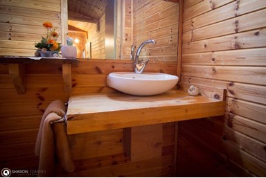 החזון של גץ - צימר 4