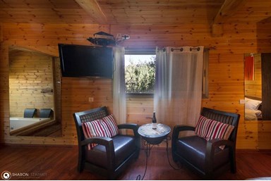 החזון של גץ - צימר 4