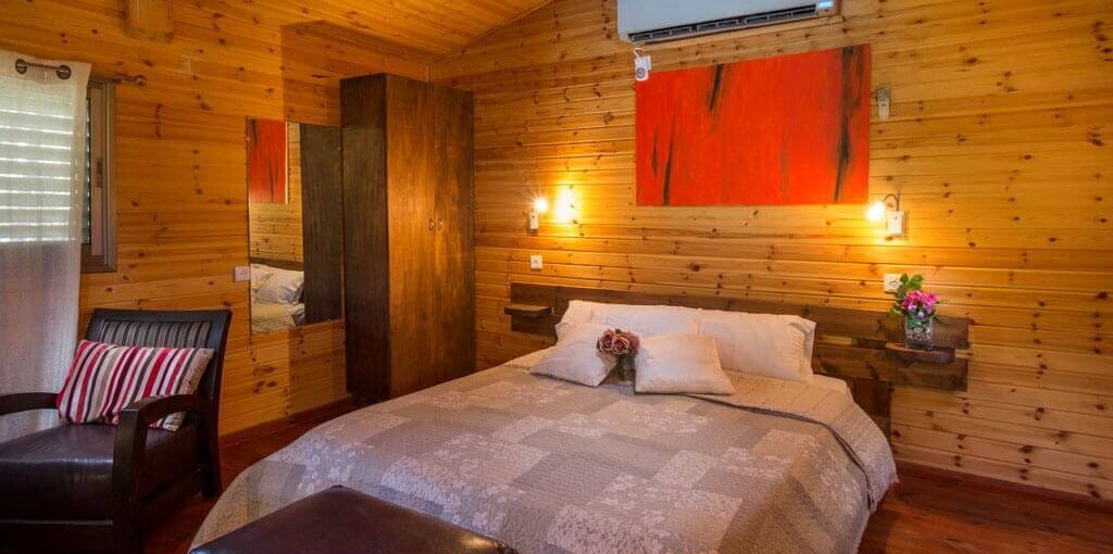 החזון של גץ בריכה (9).jpg