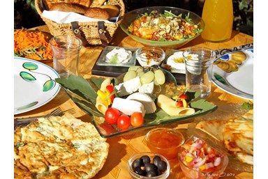 החזון של גץ - החצר והבריכה