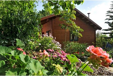 אהבה גלילית  - חצר ונוף