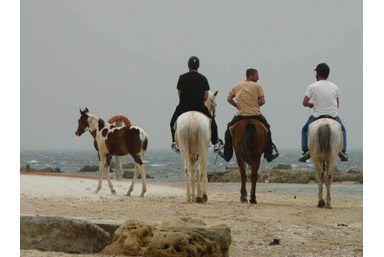 רוח ים במכמורת - מה בסביבה