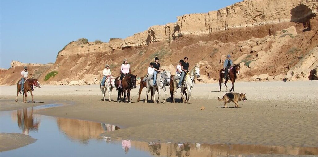 רוח ים במכמורת בסביבה (22).JPG