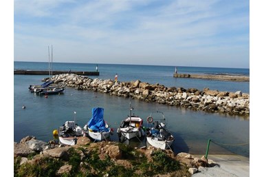 רוח ים במכמורת - המעגן