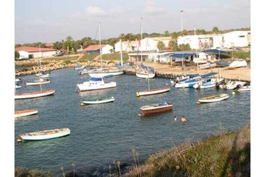 רוח ים במכמורת - המעגן