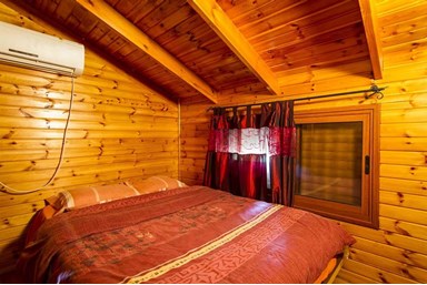 קרן אור בטבע