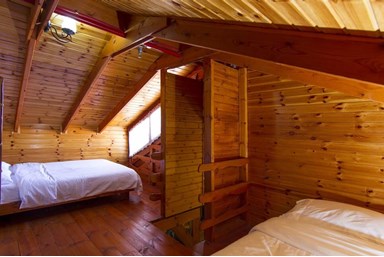 קרן אור בטבע