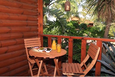 קרן אור בטבע