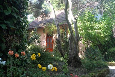 כפר ציפורי לינה כפרית