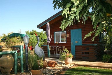 גן נמי - בקתות עץ רומנטיות - החצר