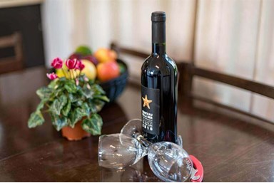 נופי הבשן - וילה משפחתית