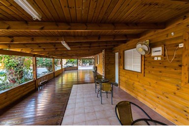 בין עצי התמר - החצר והבריכה