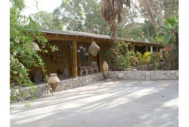 בין עצי התמר - החצר והבריכה