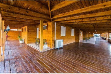 בין עצי התמר - החצר והבריכה