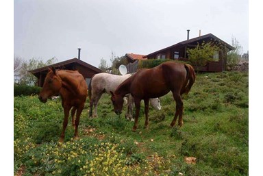 בקתות עץ בהר הארי - אטרקציות בסביבה