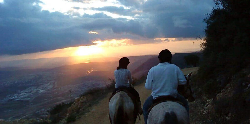 בקתות עץ בהר הארי אטרקציות (4).JPG