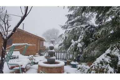 בקתות עץ בהר הארי - בחורף