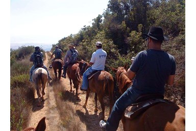 בקתות עץ בהר הארי - אטרקציות בסביבה