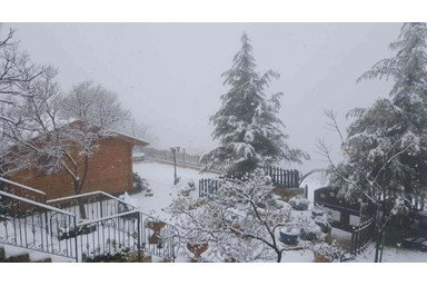 בקתות עץ בהר הארי - בחורף