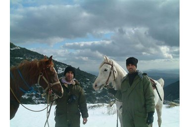 בקתות עץ בהר הארי - אטרקציות בסביבה