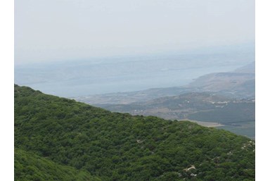 לגעת בשמיים - החצר והנוף