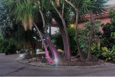 מול הקשת - החצר והבריכה