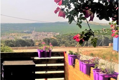 בקתות עץ שיא-הר - בחצר שלנו