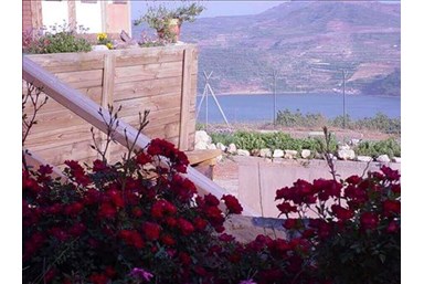 בקתות עץ שיא-הר - הנוף מהבקתות